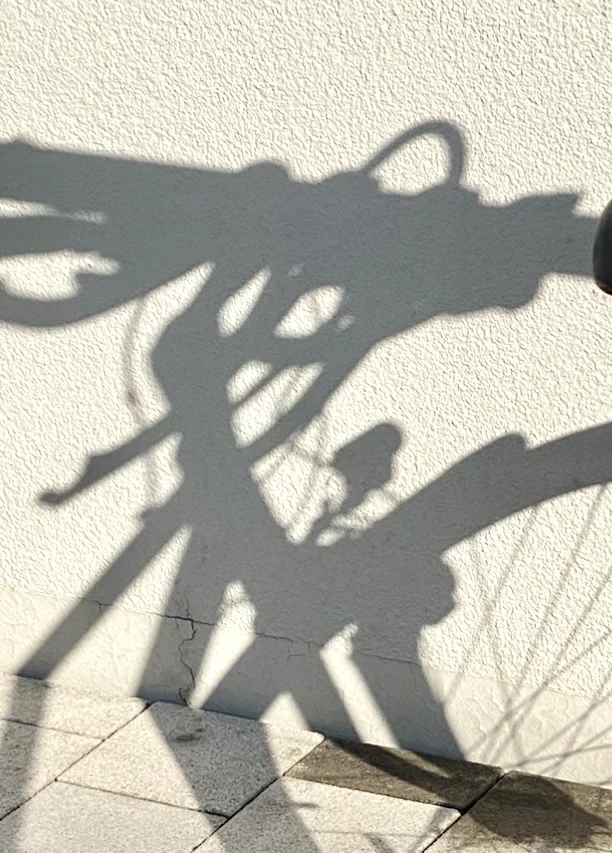 Fotos: Norbert Bruggmann
