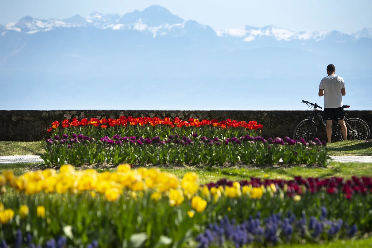 (Foto: Keystone/Laurent Gilliéron)
