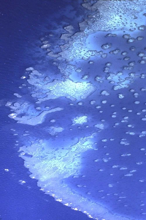 Great Barrier Reef - Ein Nonplusultra der Natur, Superlative und kein Ende...
Das Grosse Barriereriff, das über 2000 km vom Wendekreis des Steinbocks bis in die Küstengewässer Papua-Neuguineas als Wellenbrecher die australische Nordostküste begleitet, ist weltweit das grösste Korallenriff. Freilich: eine Mauer, ein Wall ohne Breschen ist es nicht. (Das Flugbild zeigt das Riff auf der Breite von Cairns in Queensland.) Vielmehr addieren sich 3400 Einzelriffe zu einem Ganzen, das mehr ist als die Summe seine…