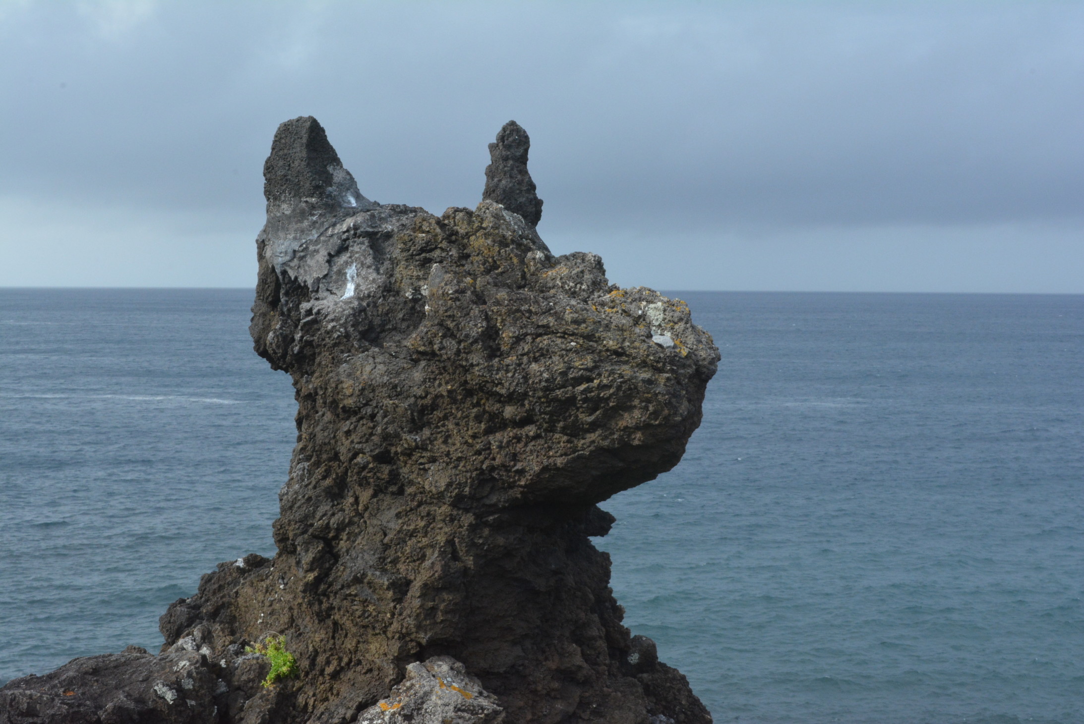 In der vulkanischen Lava auf den Azoren entstanden auch markante Skulpturen