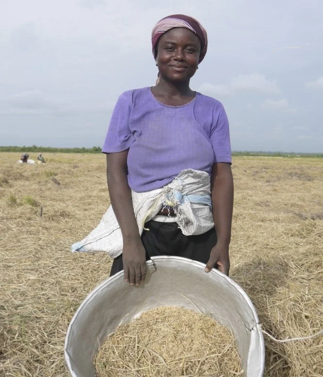 © Divine Harrison - Was die Erntemaschinen zurückgelassen haben, heben die Frauen für den Eigengebrauch auf.
