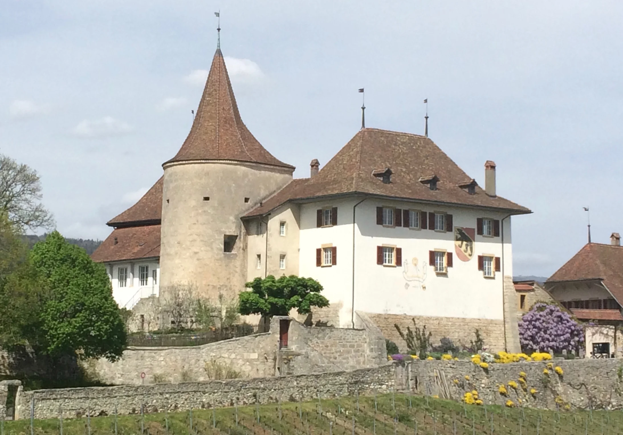Blick auf Schloss Erlach