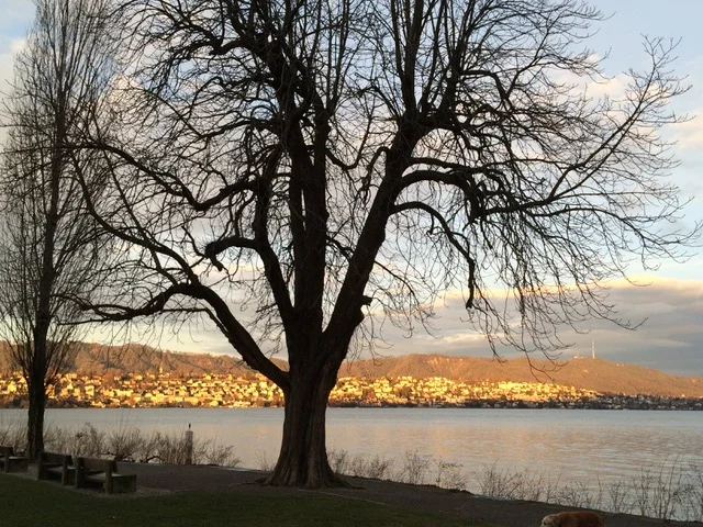 Blick von Küsnacht auf Uetliberg und Albis im Morgenlicht (Alle Fotos: © Dieter Imboden)
