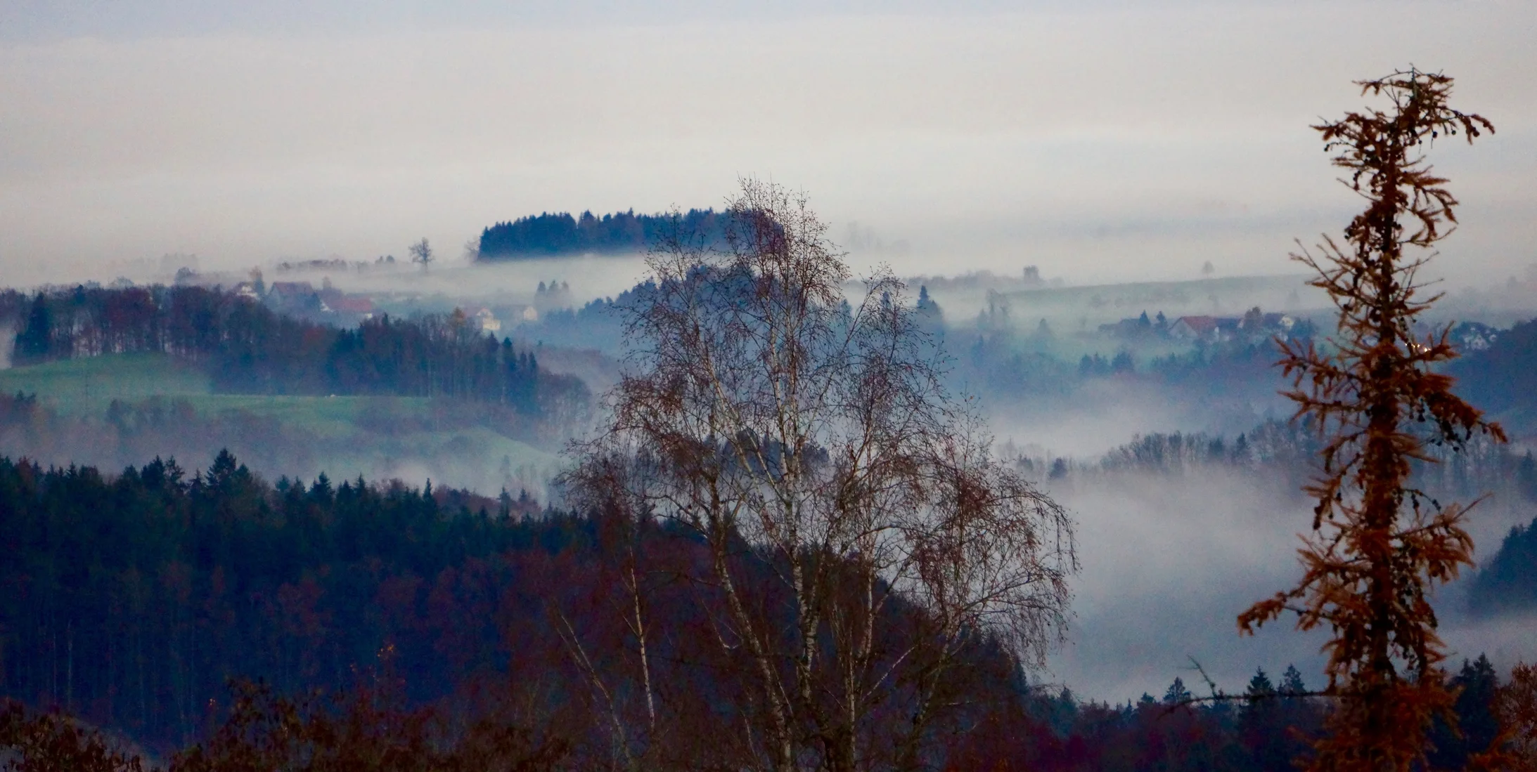 Forschungsobjekt Nebel: St. Gallen im Herbst