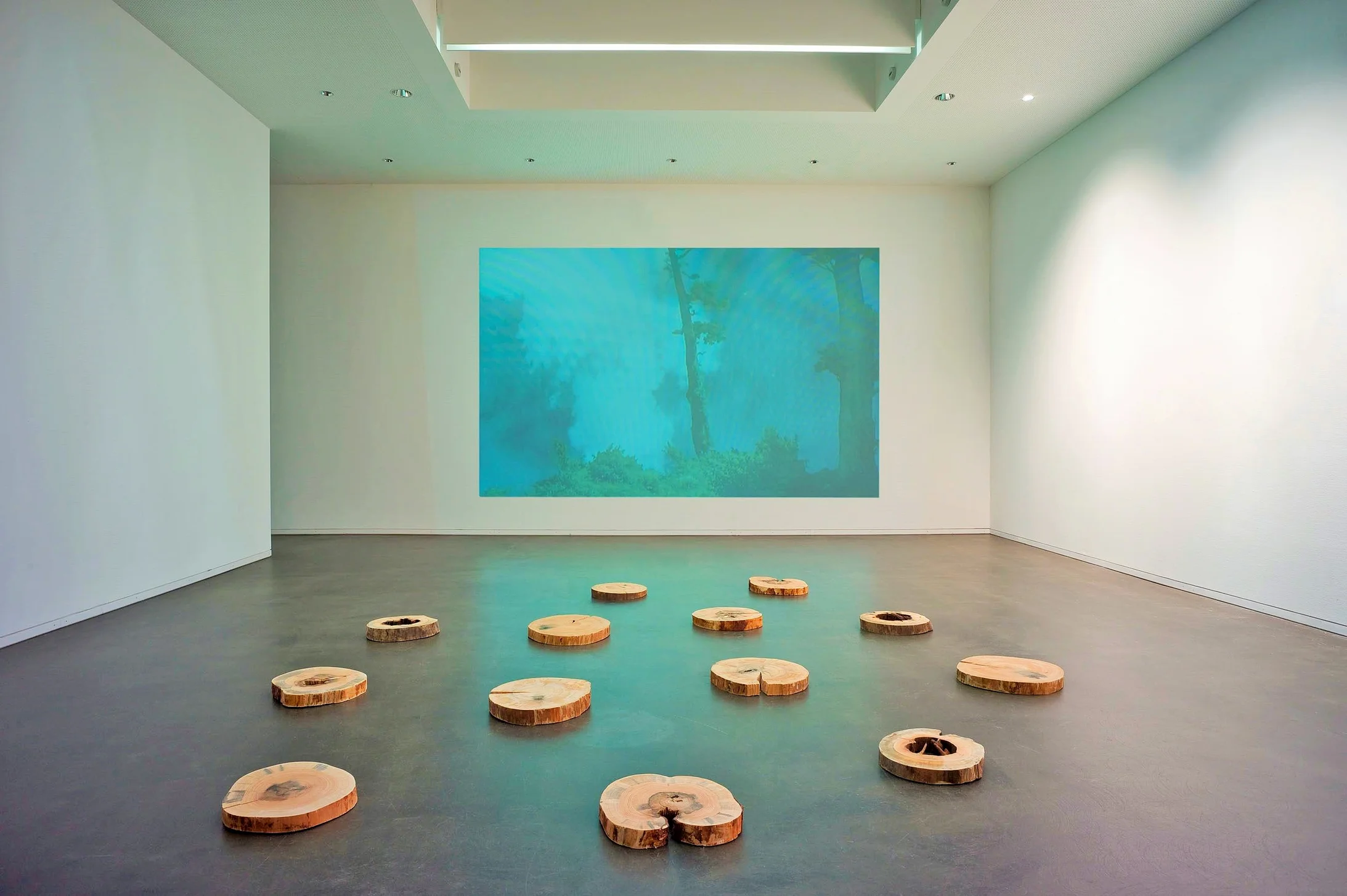 Die Bäume erinnern sich auch, 2014. Zerschossenes Holz (Vogesen, 1914-1918/1939-1945). Im Hintergrund: Ein Stück von Wald in den Wäldern, 2014 (Video). Installationsansicht in der Galerie C, Neuchâtel. © Courtesy Niklaus Manuel Güdel/Foto: Pierre Montavon

