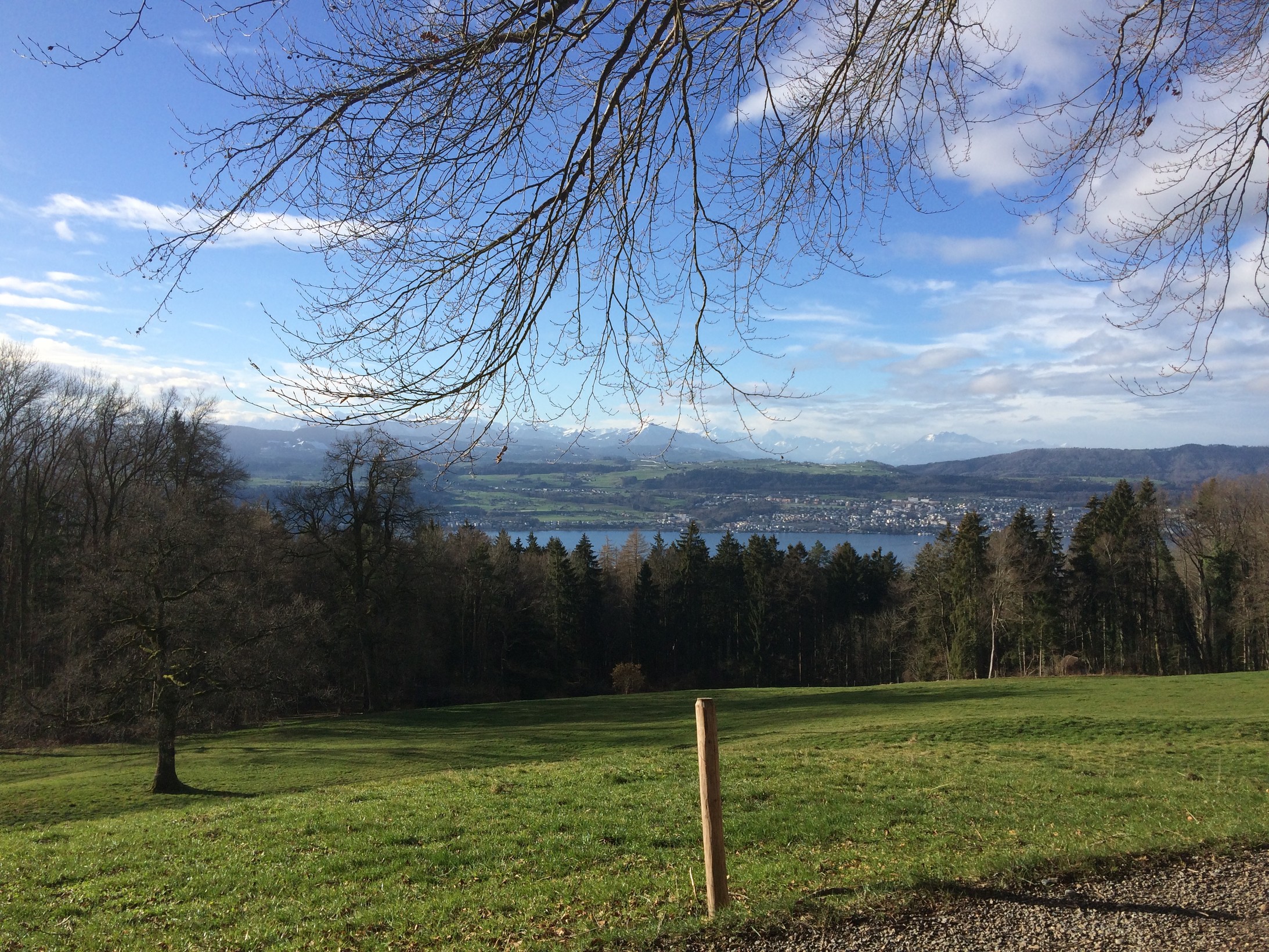 Blick über den Zürichsee auf Rigi, Pilatus und die Berner Alpen