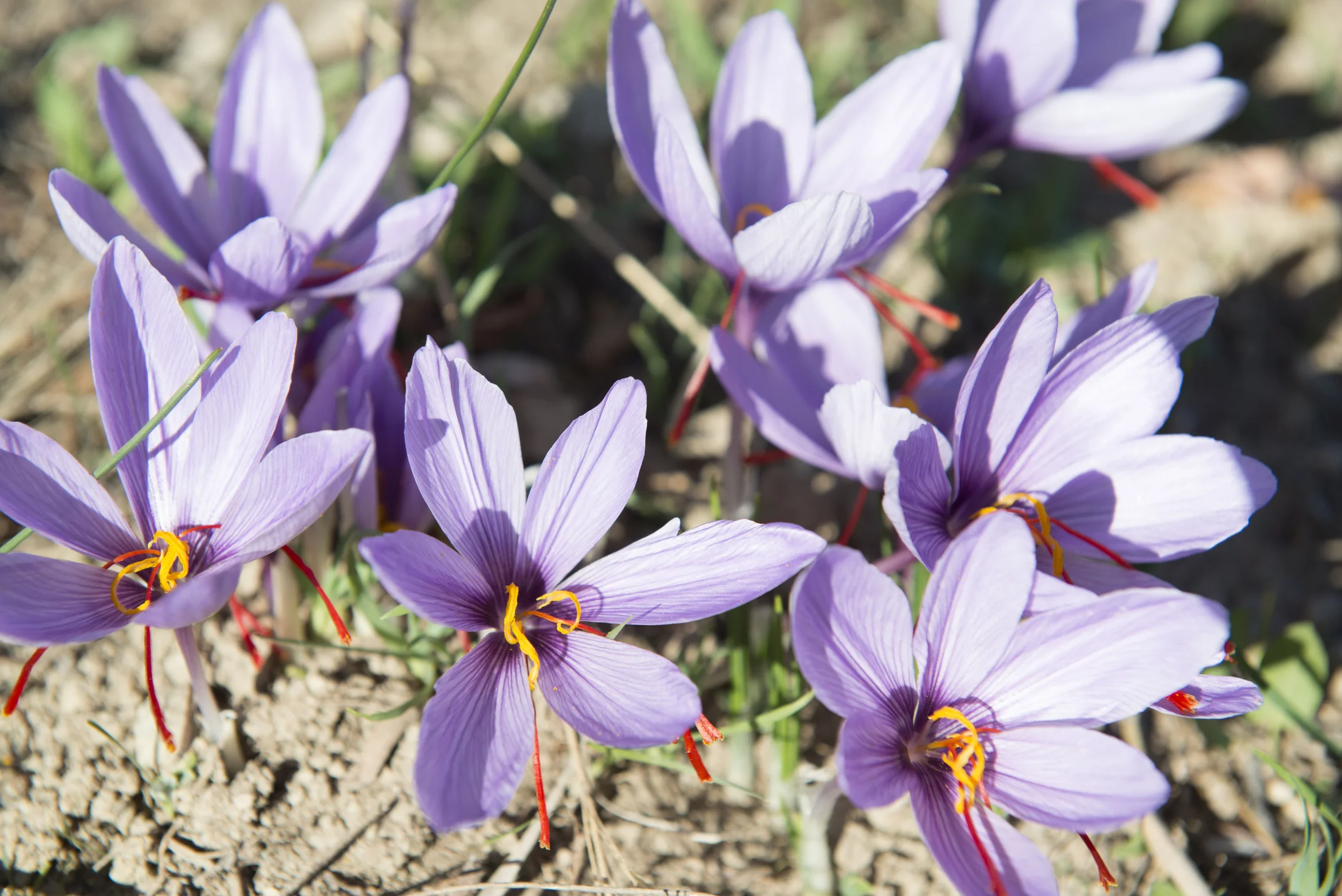 (Alle Fotos: Simone Gloor)