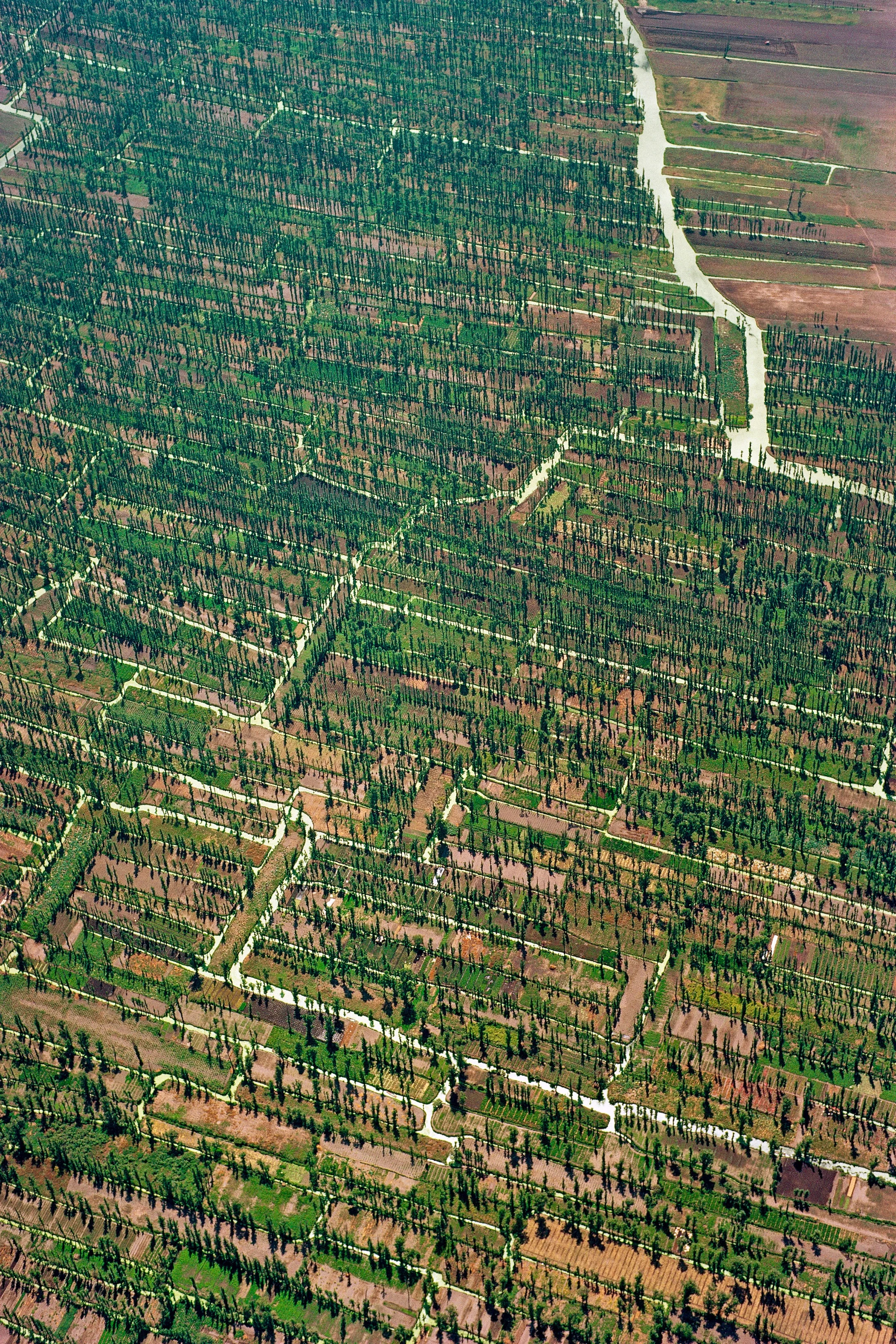 Die Chinampas von Xochimilco

Die indigenen Völker Lateinamerikas bereicherten schon tausend Jahre (oder noch länger) vor Kolumbus Landgewinnung und Landbau um ein einzigartiges Agrarsystem. 

Sie nutzten an vielen Stellen des Kontinents Sümpfe,  Marschen, Überschwemmungsebenen, Flachseen, kurz: alle Arten von Feuchtgebieten zum Anbau auf „Hochäckern“: das Aushubmaterial von Entwässerungsgräben wurde zu  schmalen, erhöhten und parallel laufenden Ackerstreifen angeschüttet, die Agralandschaft erhielt da…