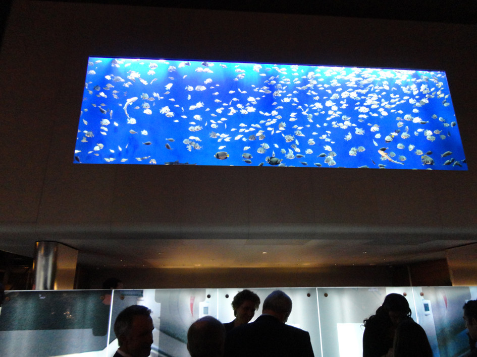 Der schweizerische Sportuhrenhersteller Breitling zieht mit einem riesigen Aquarium über dem Standeingang die Aufmerksamkeit auf sich.
Bild: André Pfenninger
