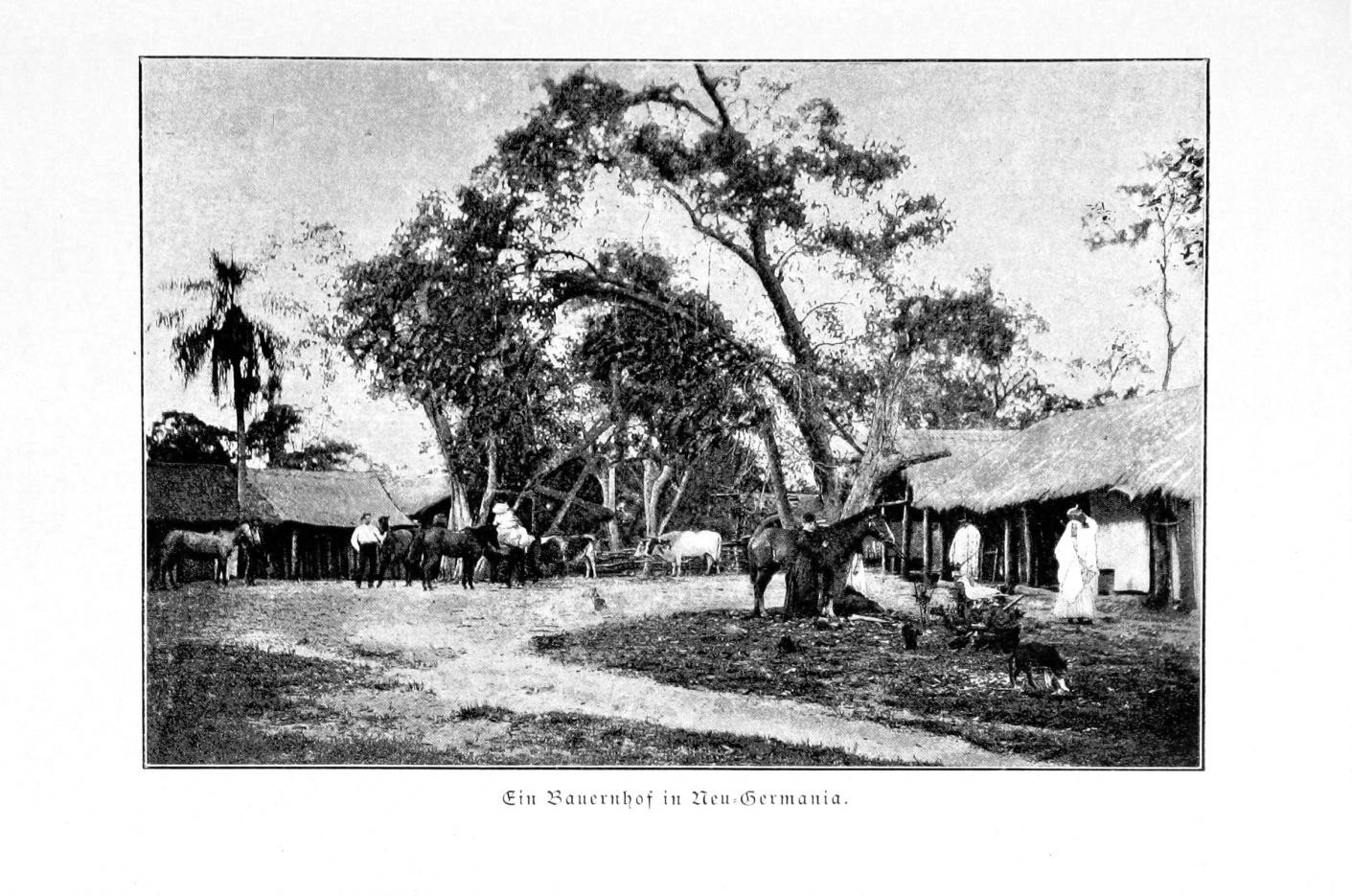 Ein Bauernhof in Neu-Germania, Quelle: Elisabeth Förster, „Dr. Bernhard Förster's Kolonie Neu-Germania in Paraguay“, 1891