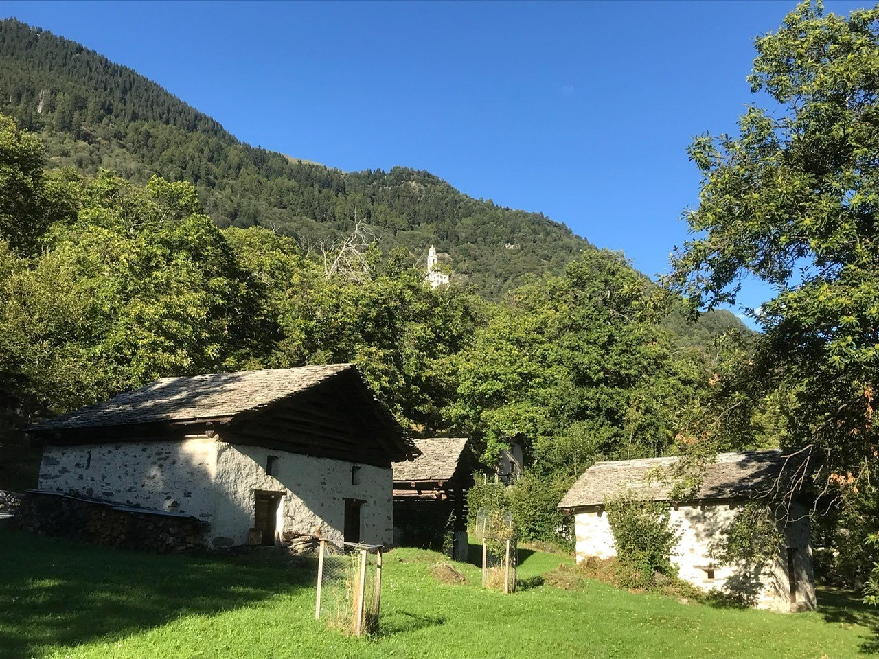 Kastanienräucherhütten, Cascina: links die von Marco Giovanoli, rechts jene von Giacomo Waltenspühl. Oben der Kirchturm von Soglio. 