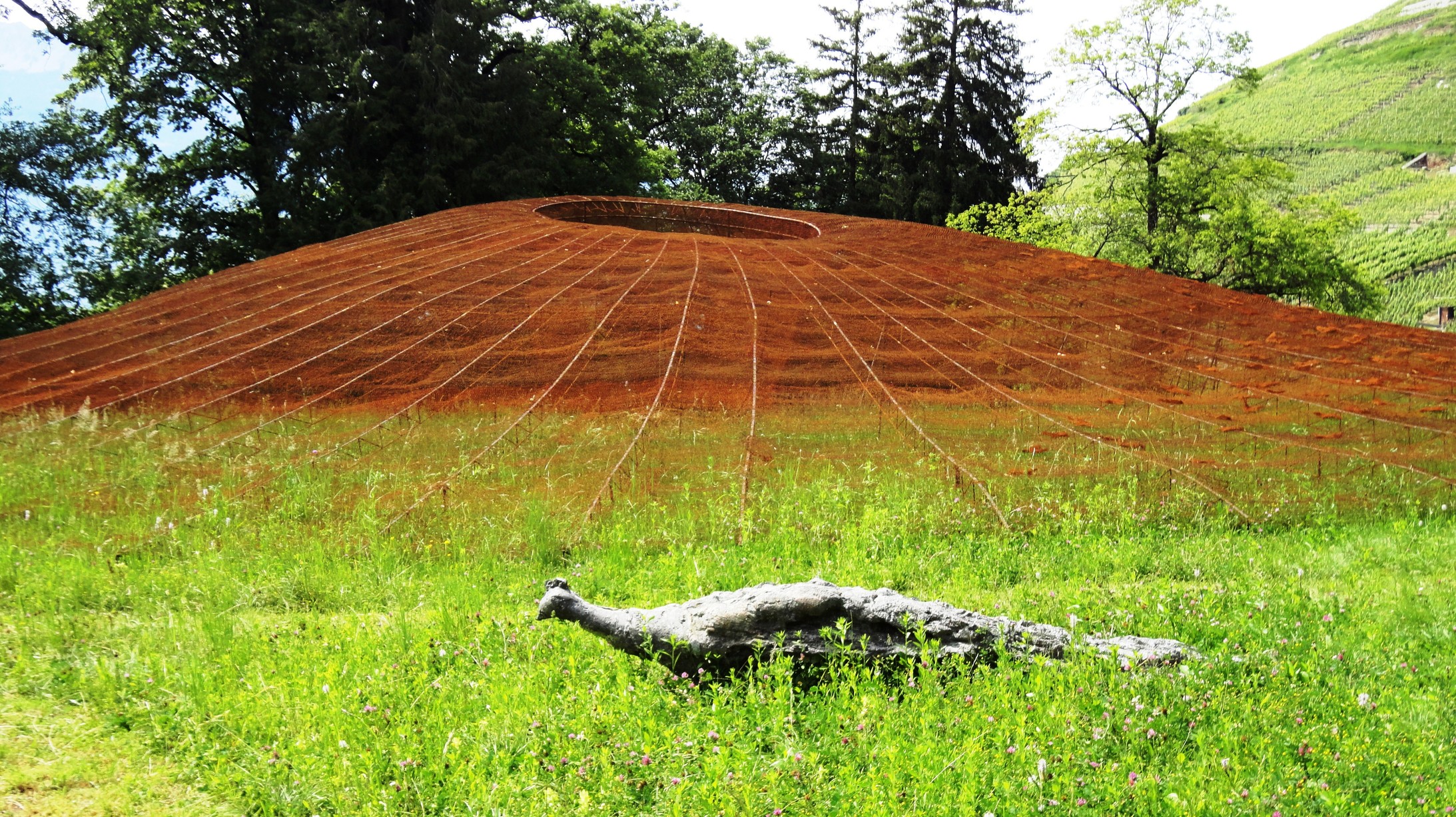 "Un Matin d’or fin" heisst diese riesige Installation von Olivier Estoppey. Der Hügel ist mit einem Drehgeflecht überzogen, darum herum „spazieren“ fünf Pfauen. (Bild: Jeanine Pfenninger)
