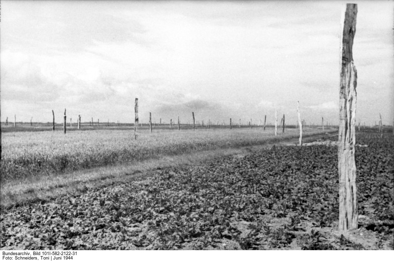 Deutsches Bundesarchiv, Propagandakompanien der Wehrmacht, Bild 101I-582-2122-31, Fotograf: Toni Schneiders, Juni 1944
