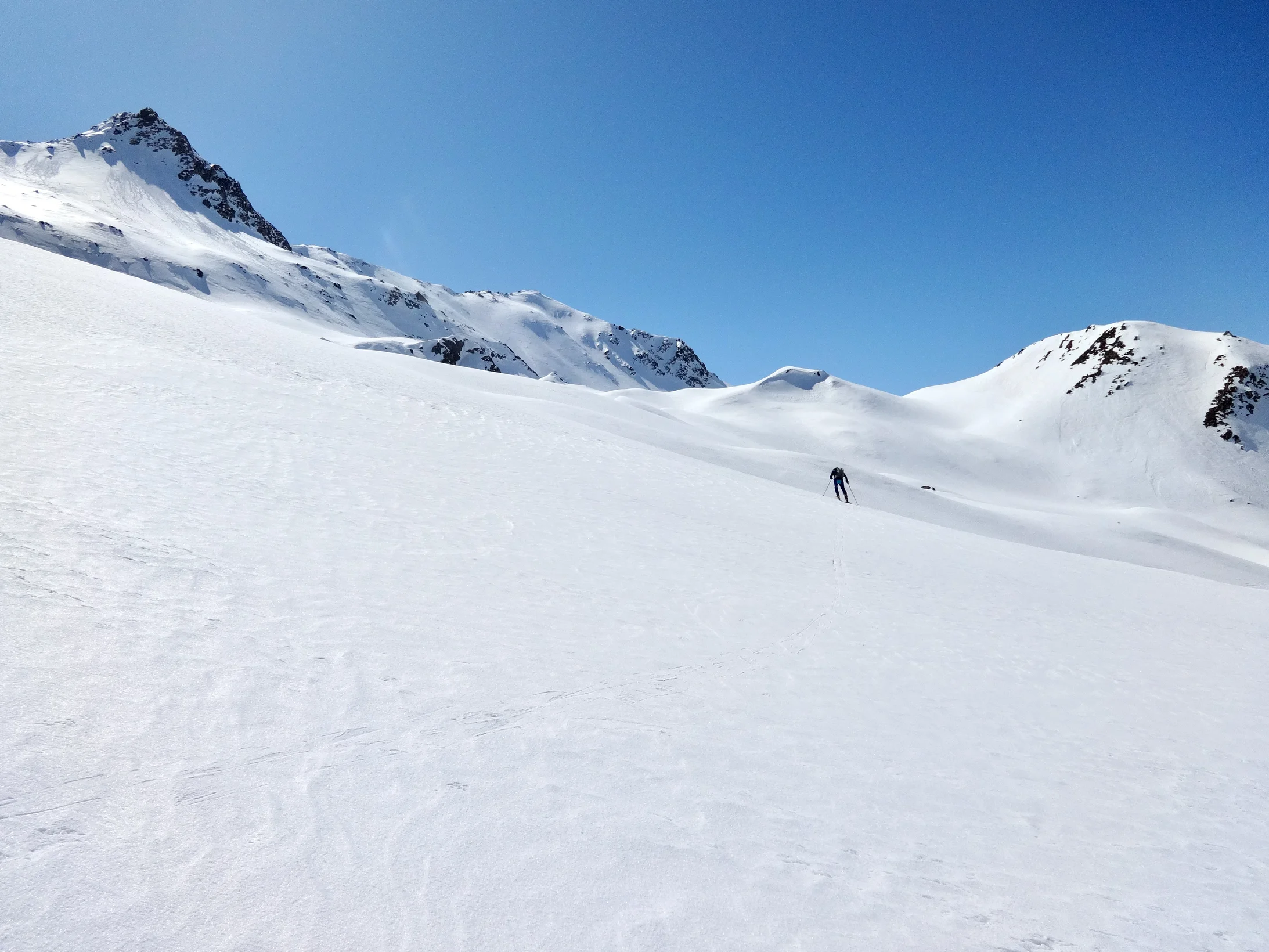 Pistengelände Winterhorn: Mensch und Tier geniessen die neu gewonnenen Ruheräume. (Foto: Helmut Scheben)