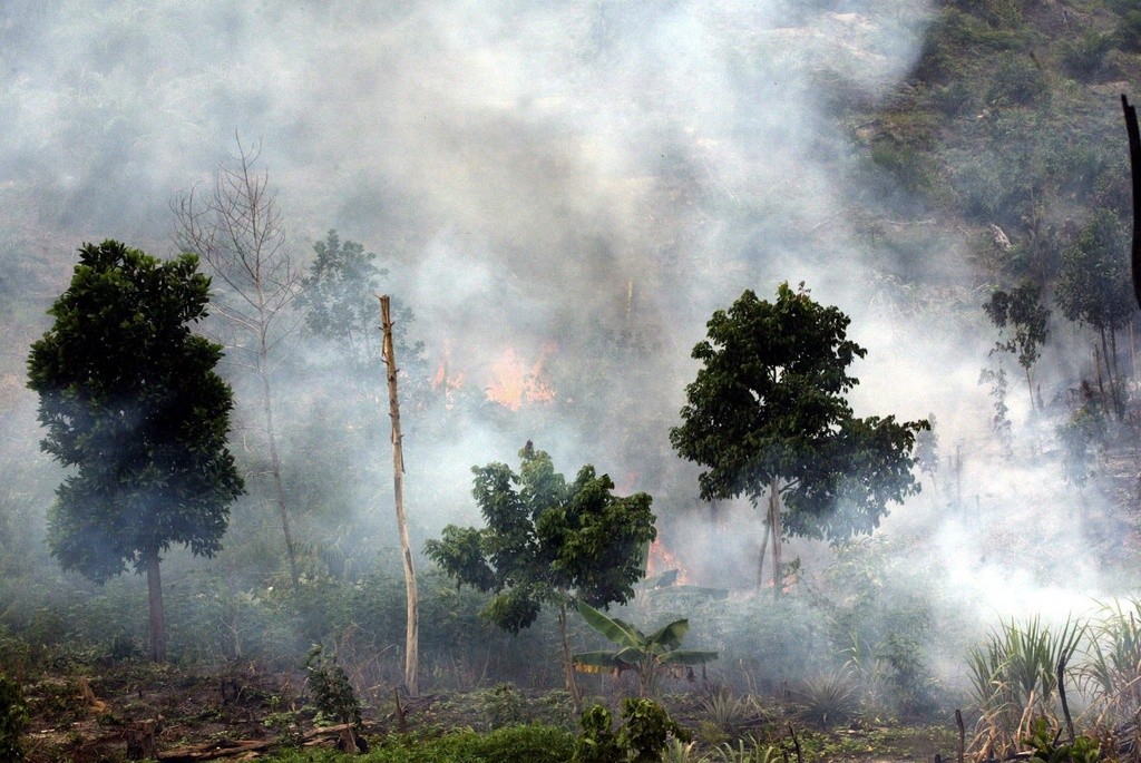 Waldbrand auf Sumatra. Zwischen 2000 und 2005 sind 2,4 Prozent des gesamten Regenwaldes vernichtet worden.