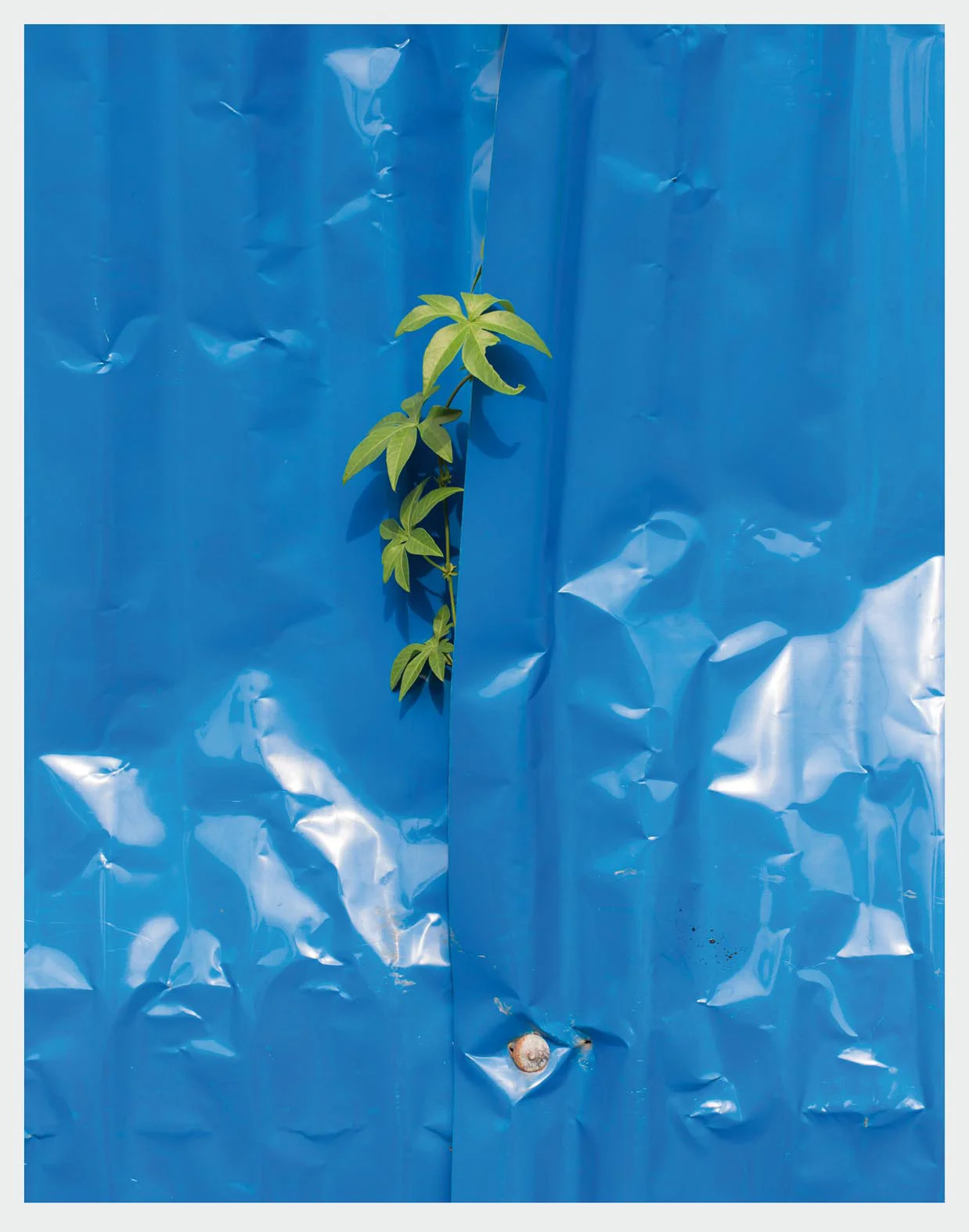 © Andreas Herzau / Nimbus. Kunst und Bücher