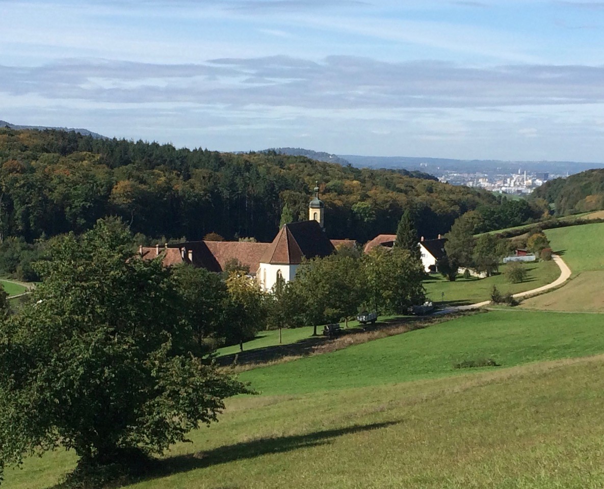 Blick über das Tal des Violenbachs Richtung Basel
