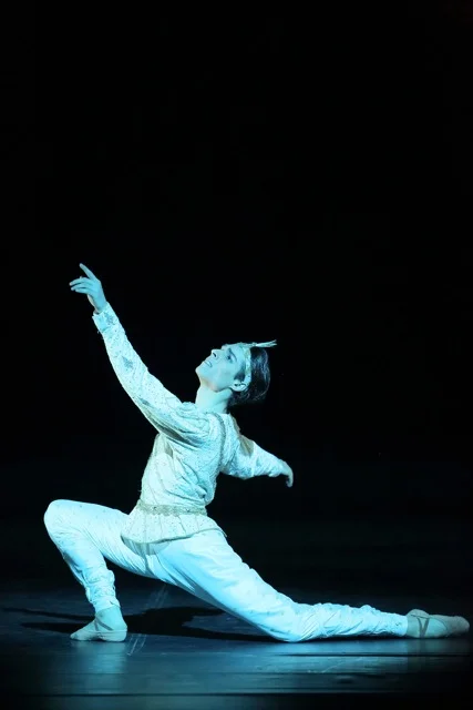 Timur Askerov in "La Bayadere" (Foto: Bayerisches Staatsballett, Wilfried Hösl)