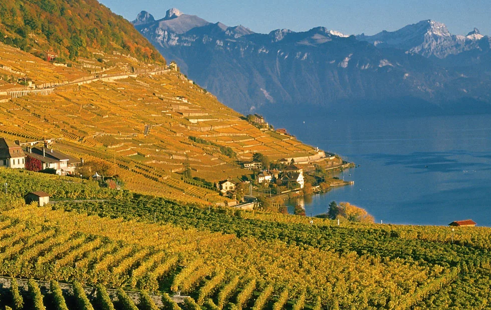 (Foto: www.lavaux.com)