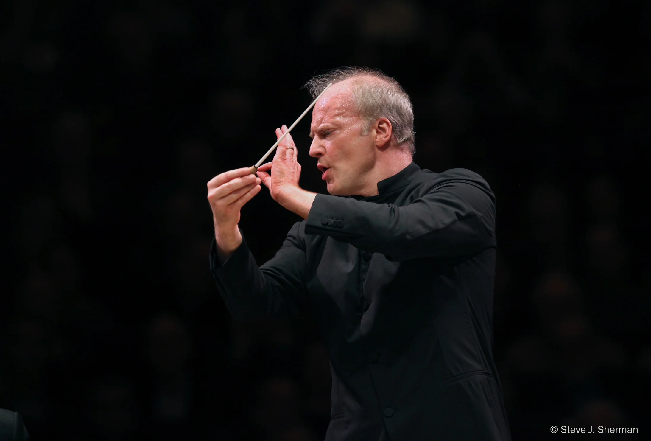 Gianandrea Noseda (Foto: Steve J. Sherman)