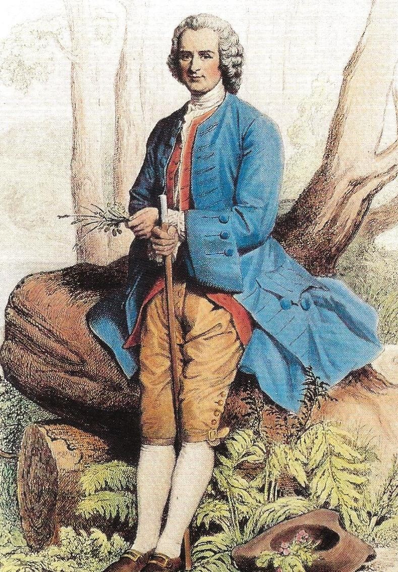 Rousseau in der Natur, als Botaniker (anonyme Gravur, 18. Jahrhundert)