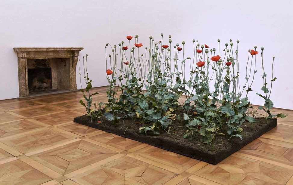 Roxy Paine, Crop (Poppy Field), 1997-1998, © Sergio Tenderini/FAI – Fondo Ambiente Italiano
