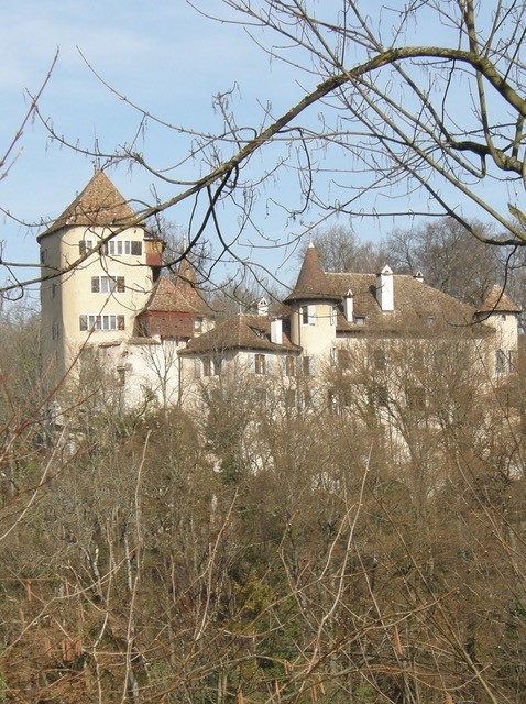 Schloss Wildenstein, vom Arxhof aus gesehen