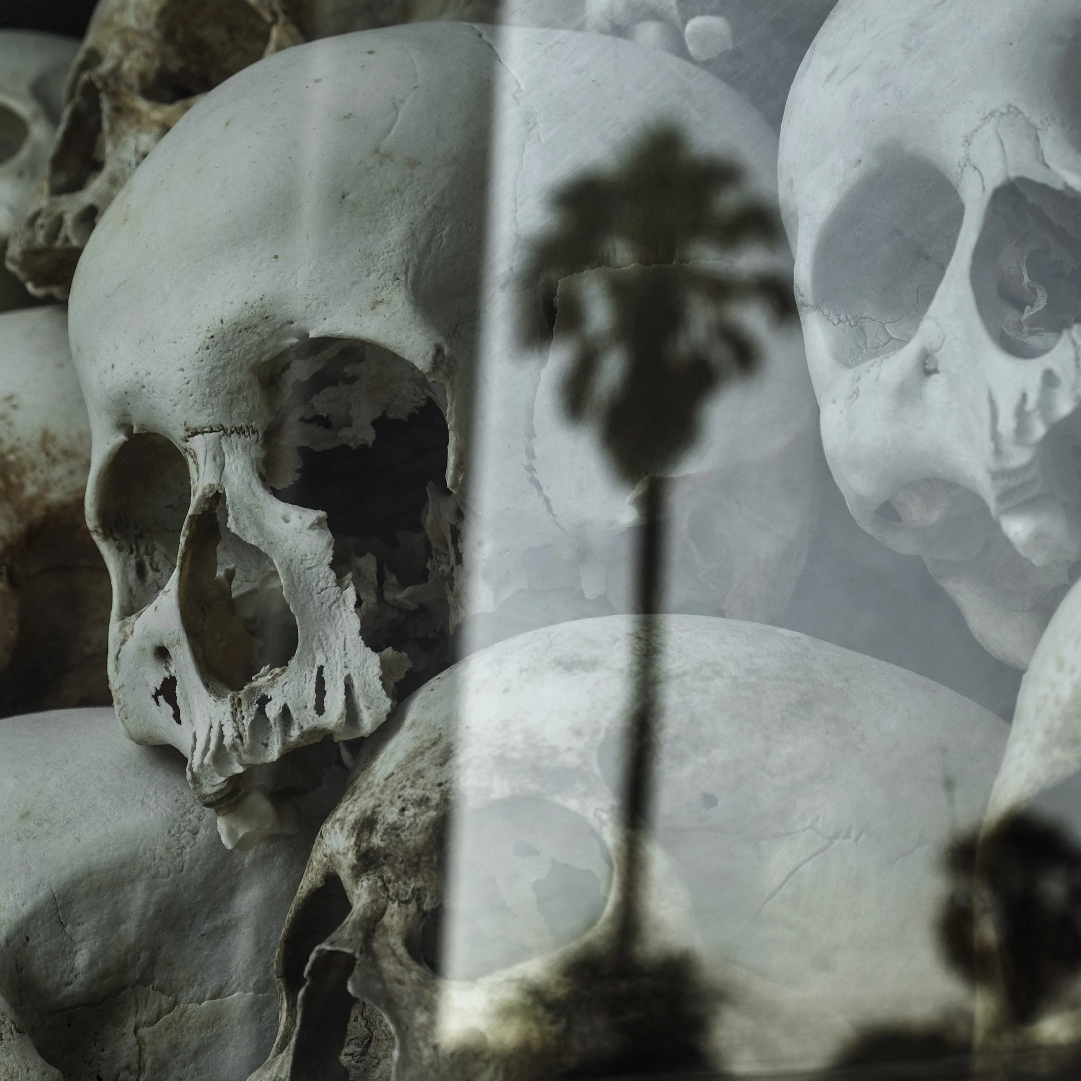 ©Ann-Christine Woehrl / Echo Photojournalism / Edition Lammerhuber