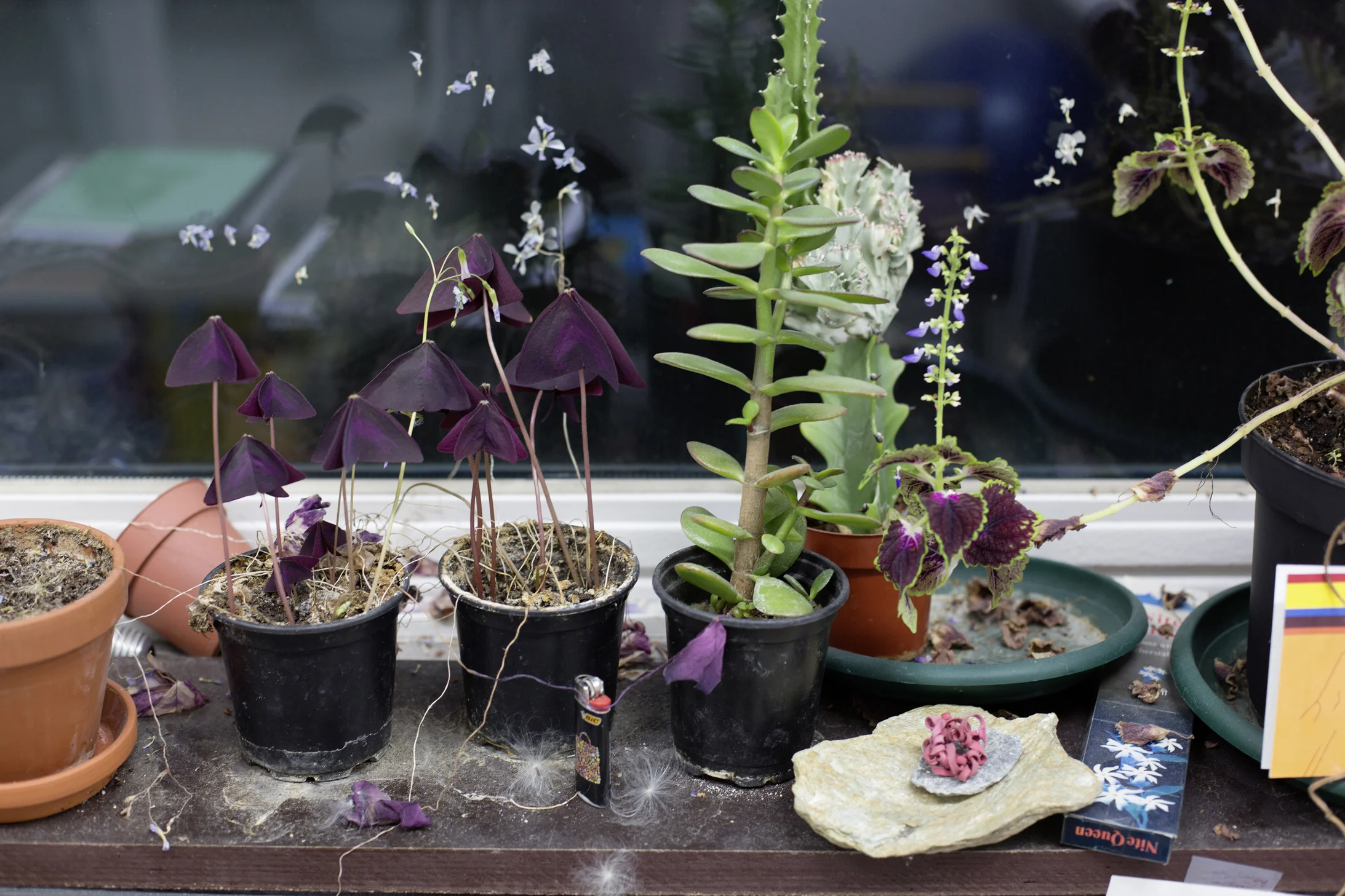 WOLFGANG TILLMANS, NITE QUEEN, 2013
Courtesy Galerie Buchholz, Berlin/Cologne, Maureen Paley, London, David Zwirner, New York