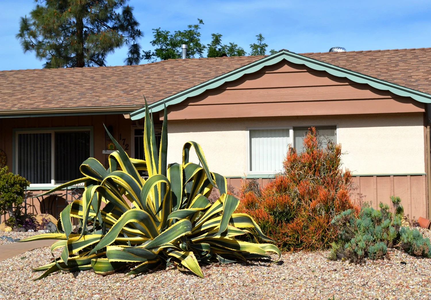 Un exemple des nouvelles pelouses