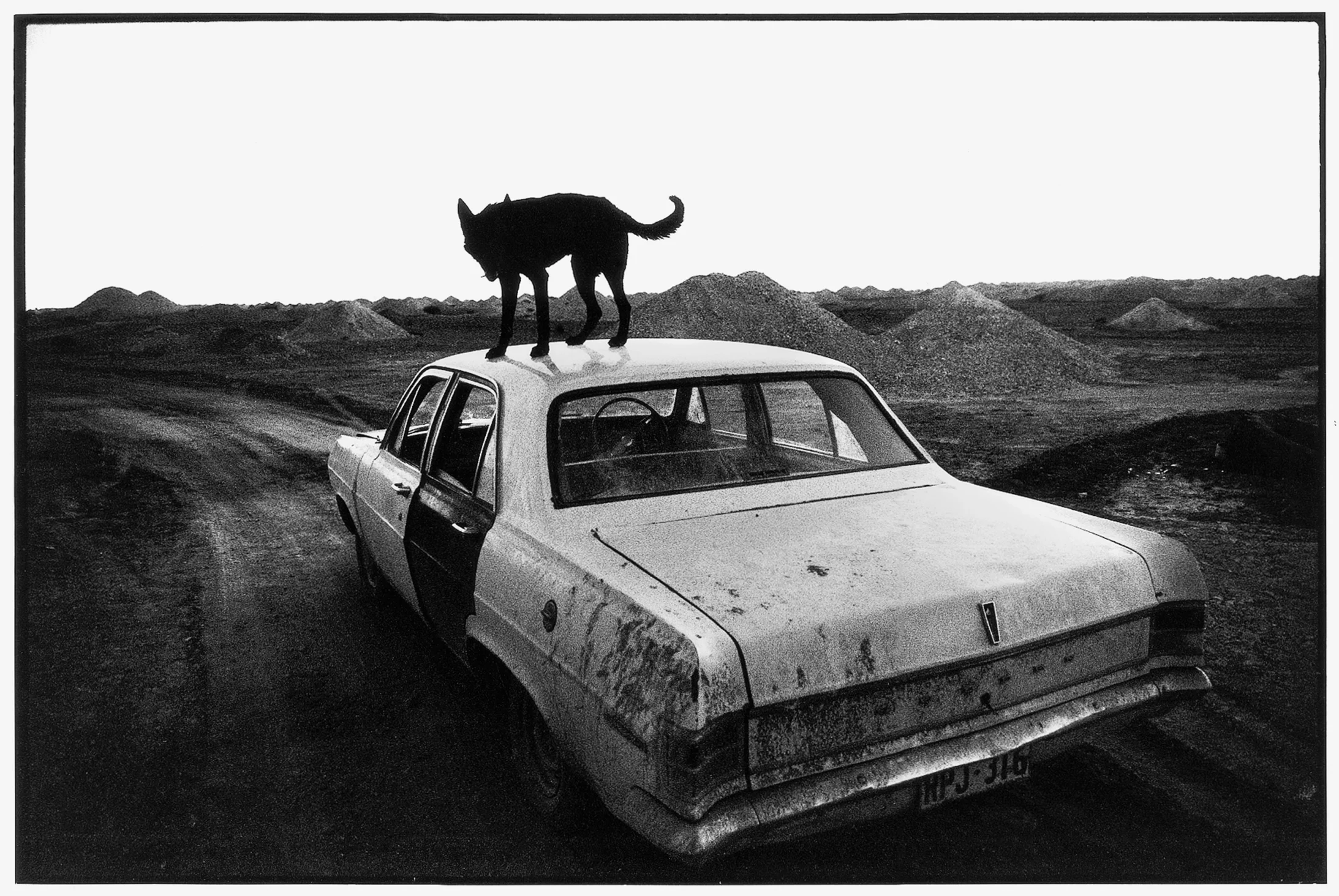 Einmal ... bin ich zum ersten Mal quer durch Australien gefahren. Aus: Wim Wenders, Einmal, © Wim Wenders /courtesy Schirmer/Mosel