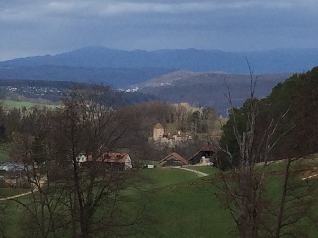 Blick auf Arxhof und dahinter Schloss und Bauernhof Wildenstein, dahinter die Höhen des Schwarzwalds