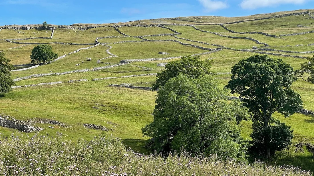 Mauern bei Malham