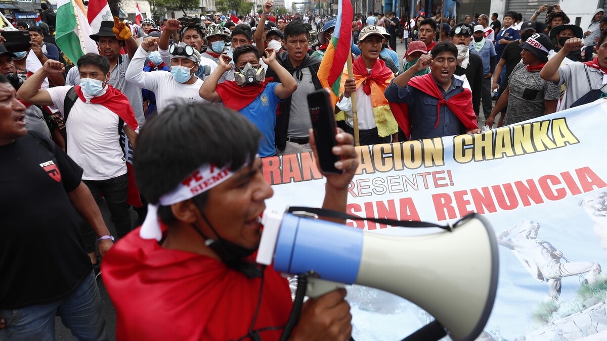 Peru Demonstration