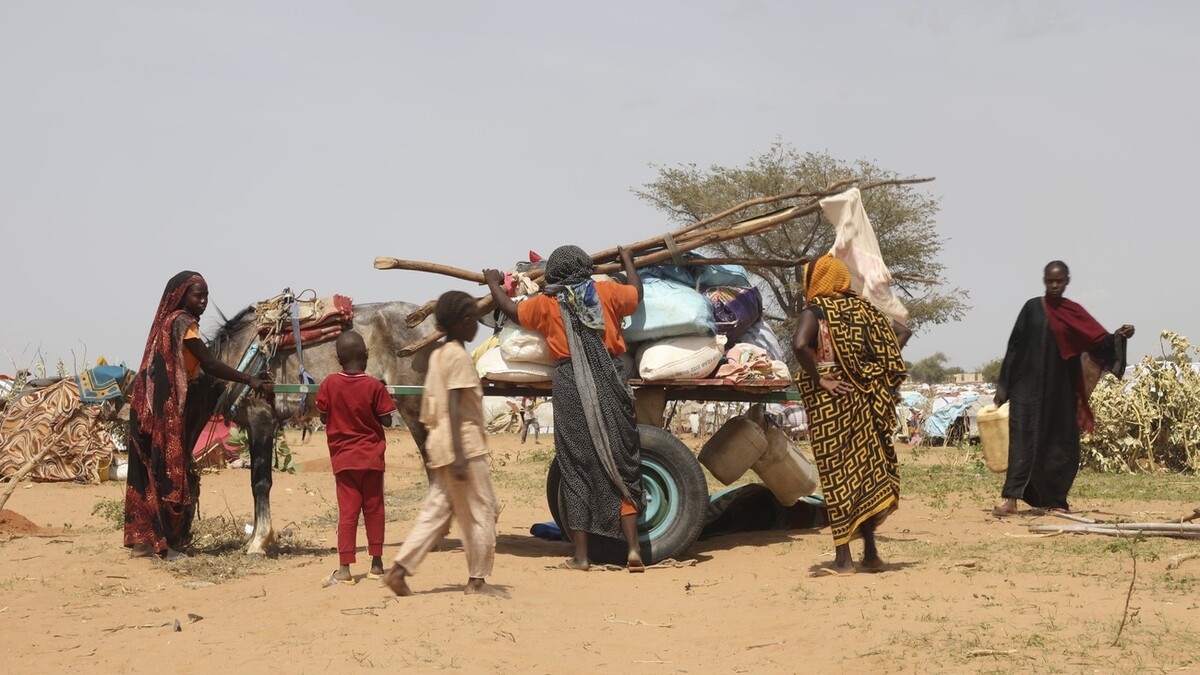 Sudan Flüchtlinge Tschad