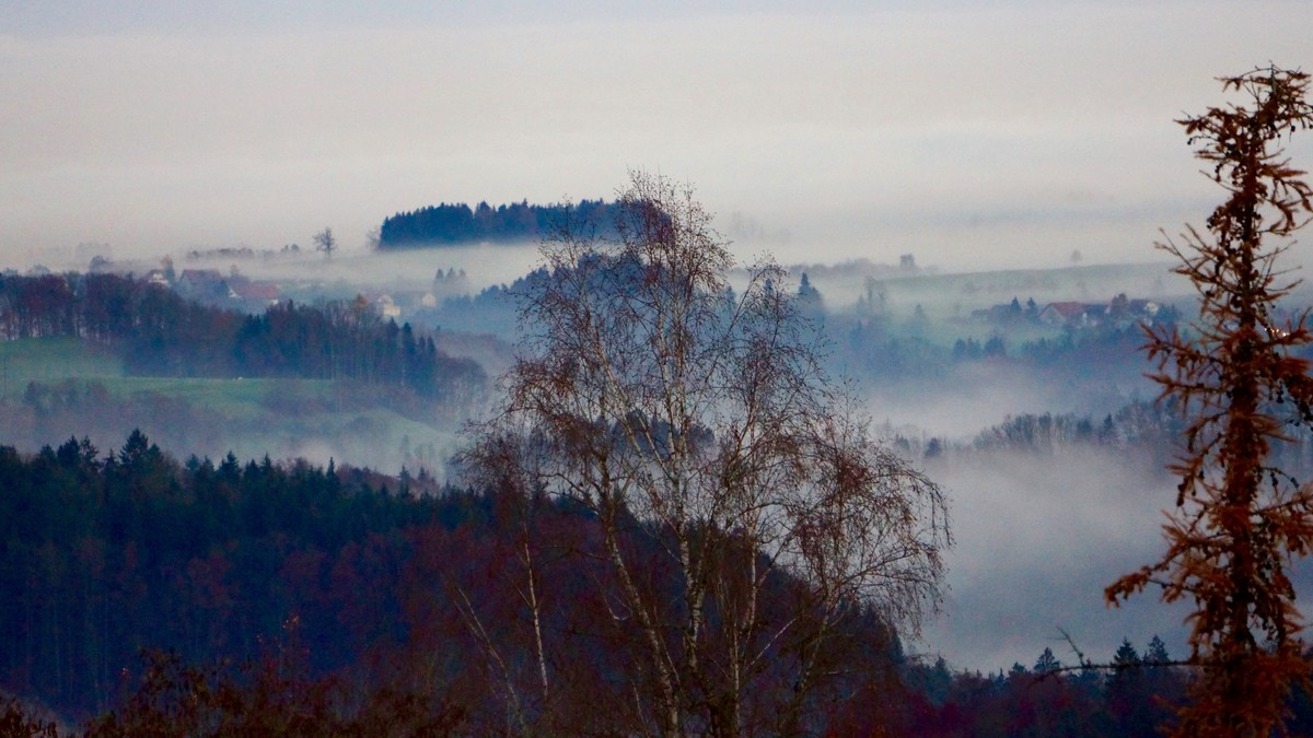 Forschungsobjekt Nebel: St. Gallen im Herbst
