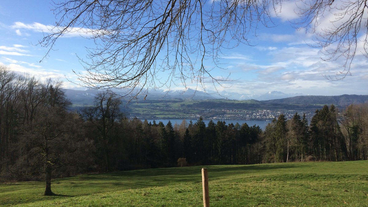 Blick über den Zürichsee auf Rigi, Pilatus und die Berner Alpen