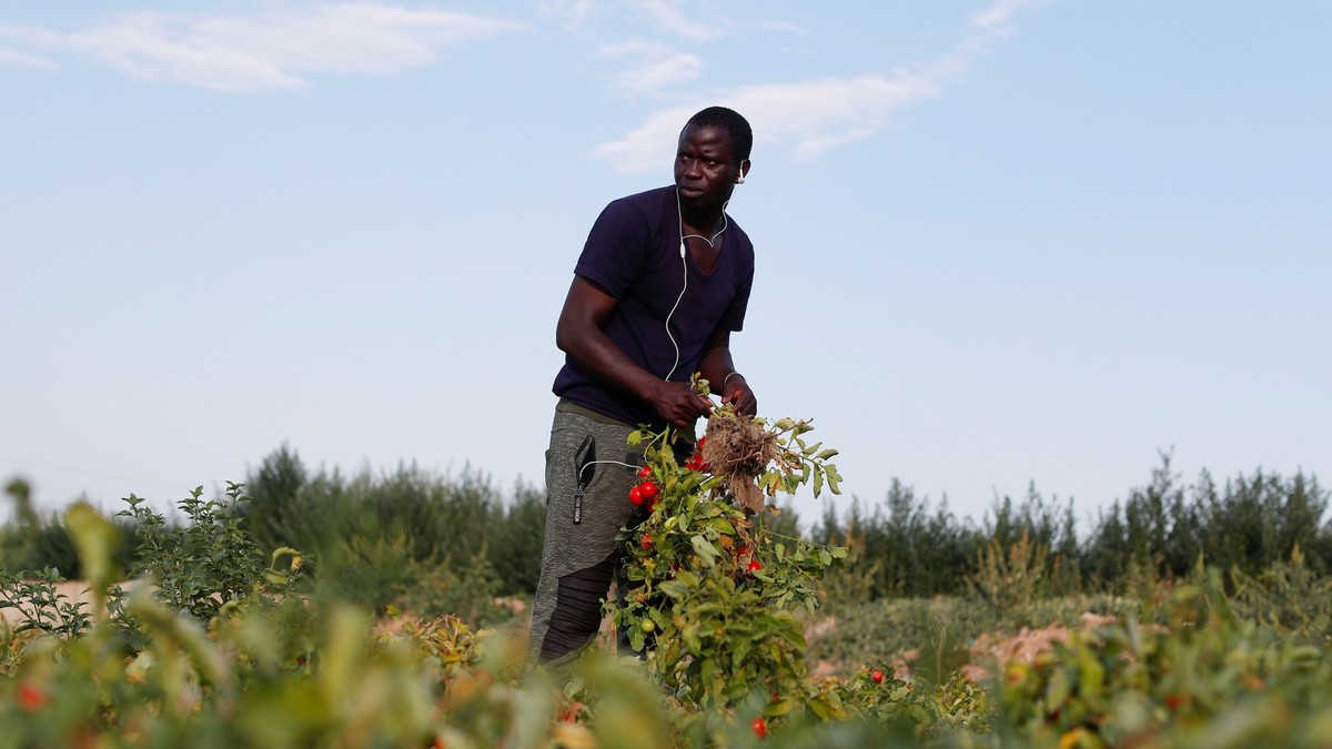Menschen wie Idrissa Diassy (24) aus Senegal sind Opfer der globalisierten Tomatenproduktion. Er arbeitet fernab der Heimat bei Foggia in Süditalien. © Alessandro Bianchi / Reuters /via alliancesud
