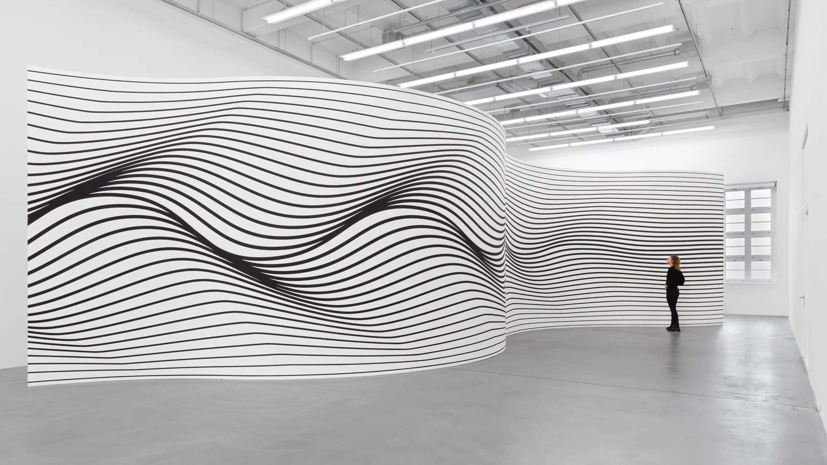 Claudia Comte, Ausstellungsansicht