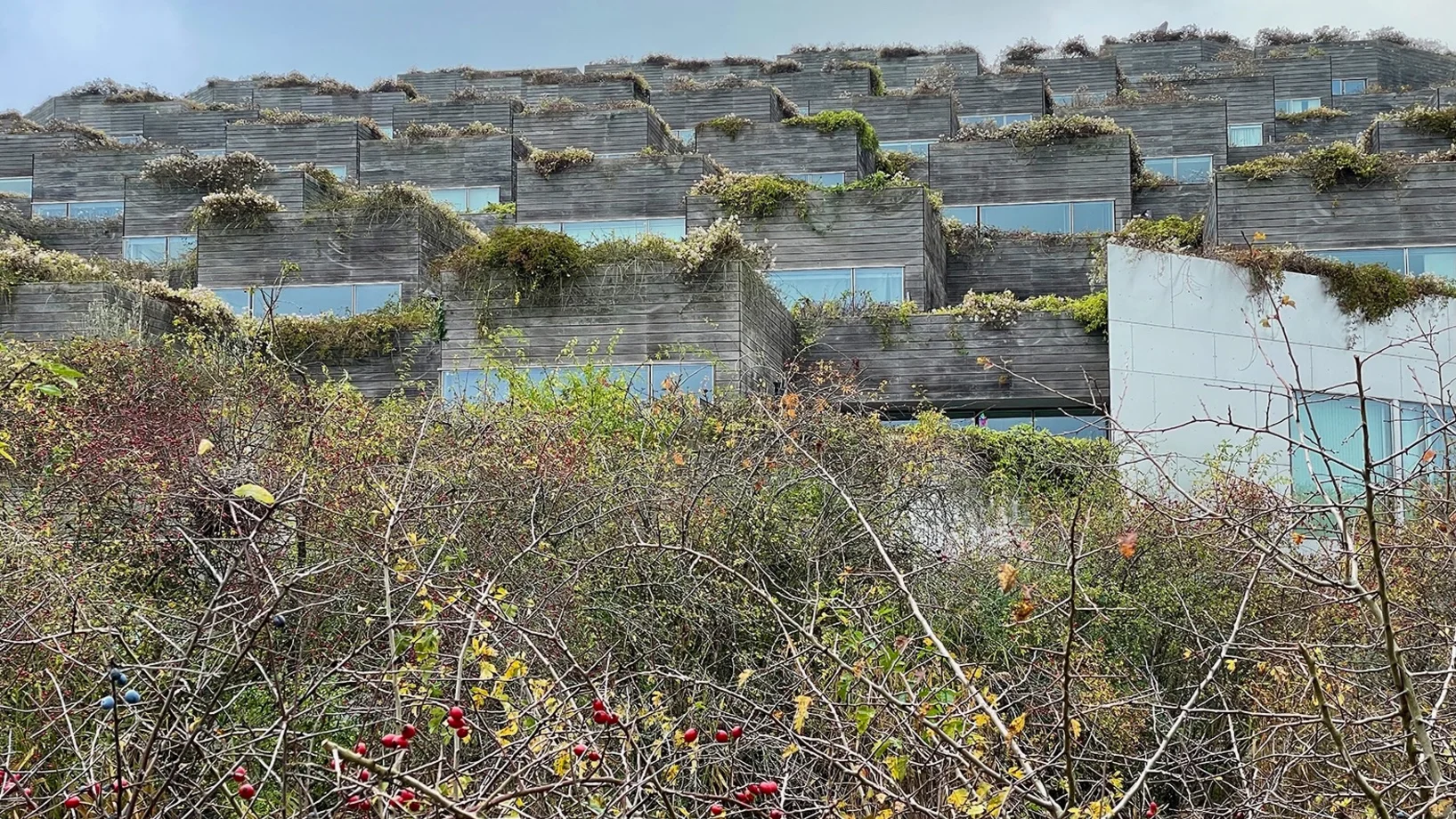 Wohnkomplex «The Mountain»