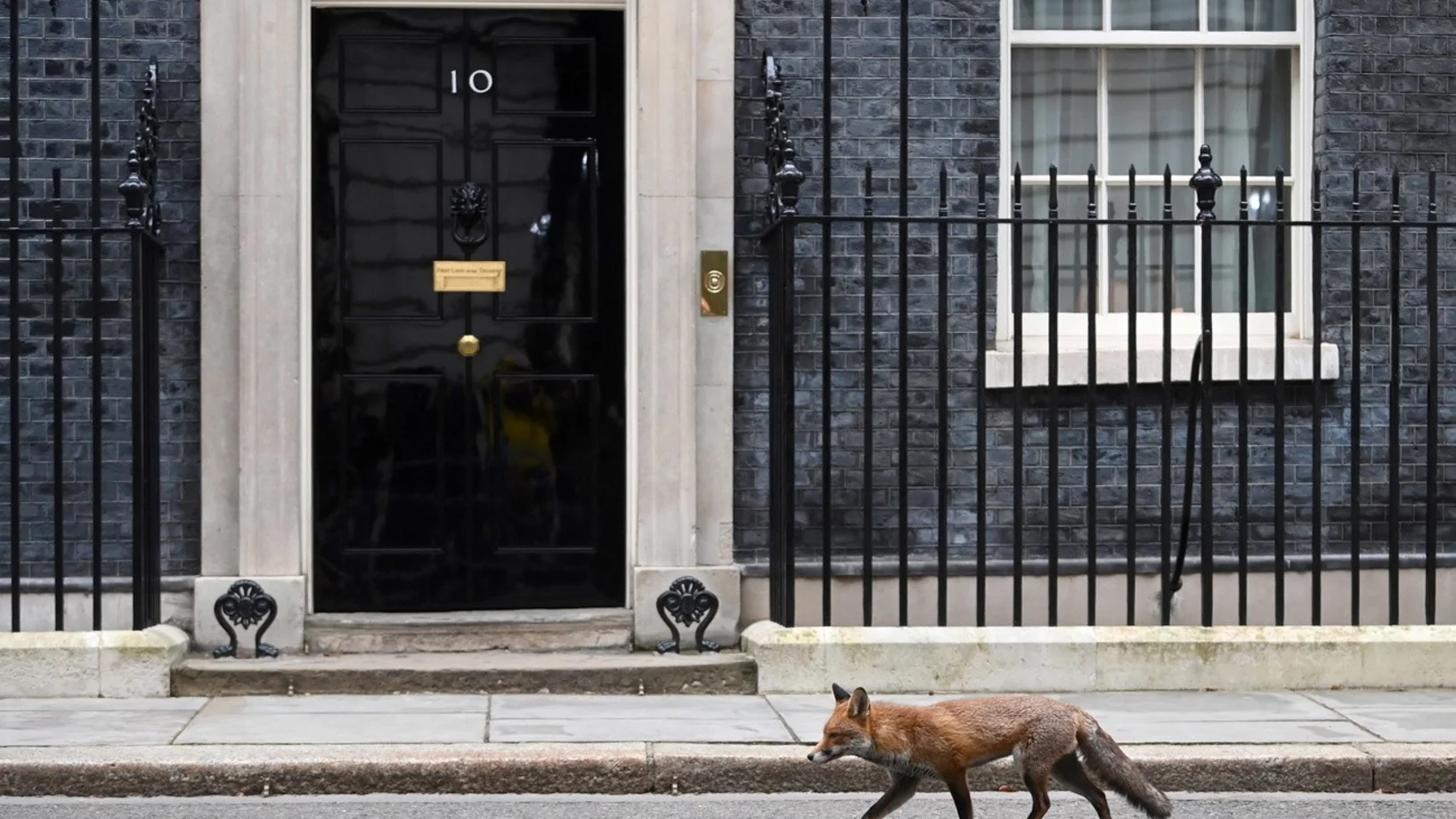 Fuchs, Downing Street 10