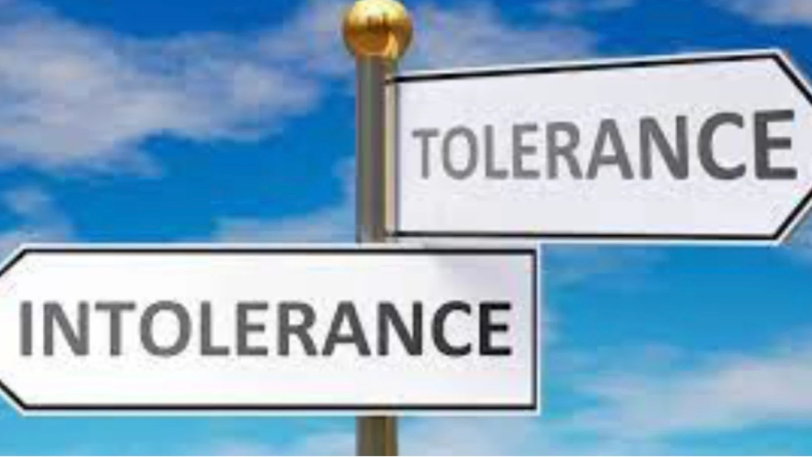 Toleranz/Intoleranz