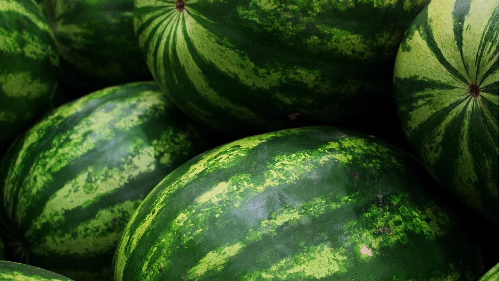 Wassermelonen