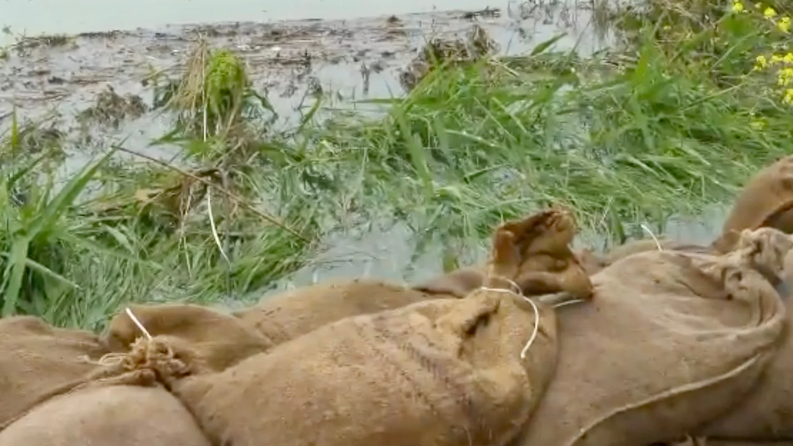 Sandsäcke gegen die Flut