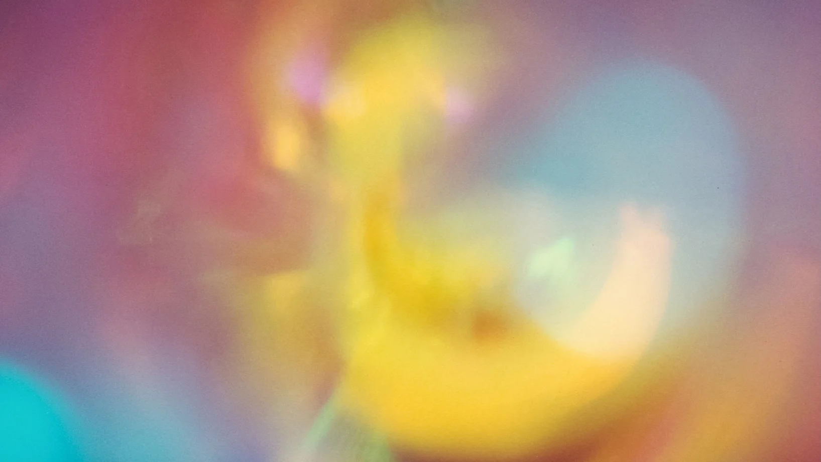 Tacita Dean: Paradise (Ausschnitt)