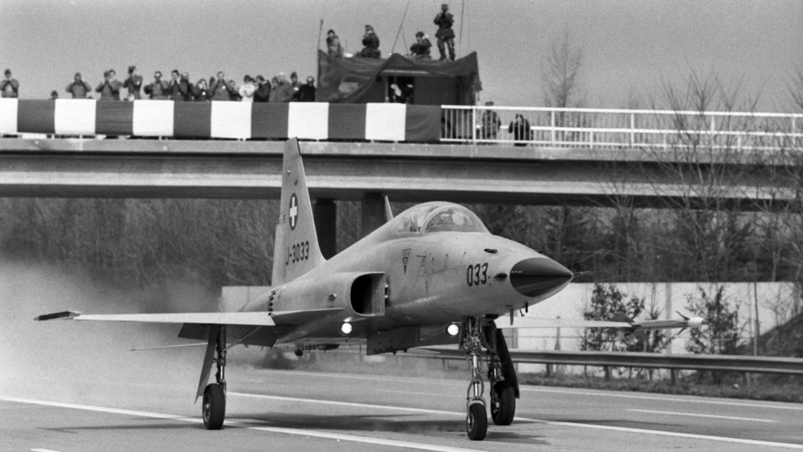 Tiger Kampfflugzeuge