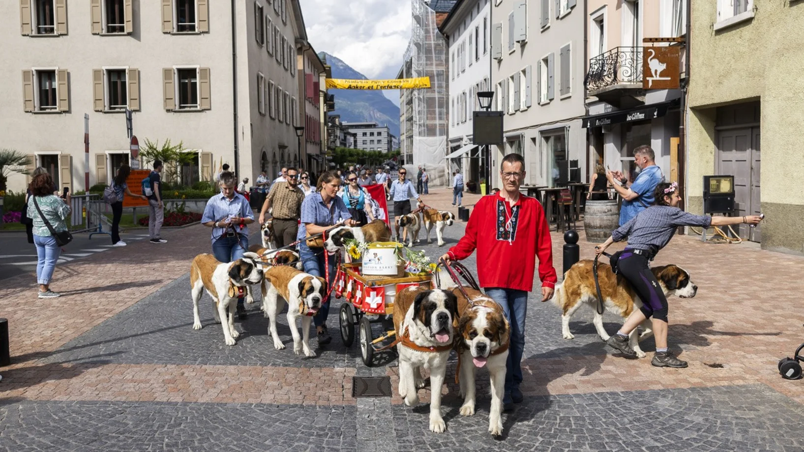 Bernhardiner, Martigny