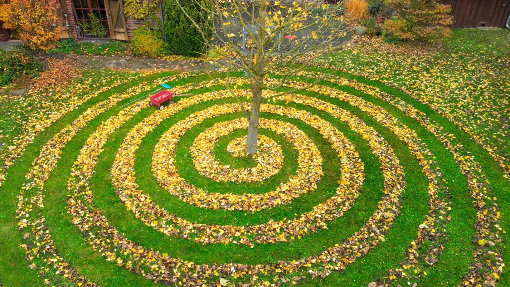 Laubrechen, Brandenburg