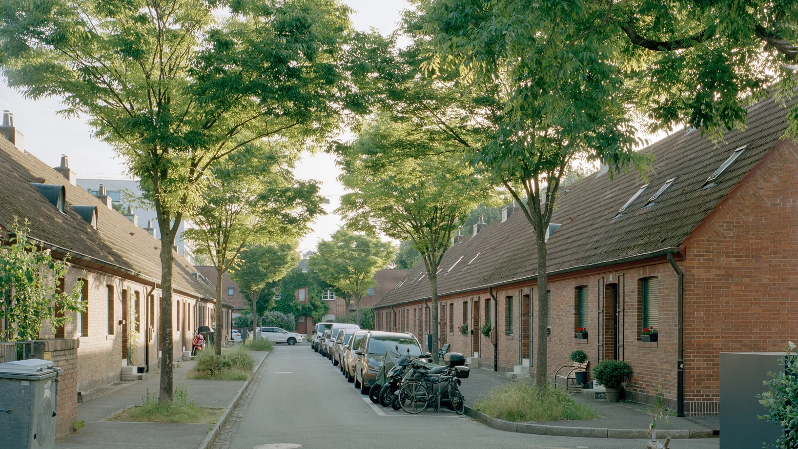 Siedlung Im Vogelsang