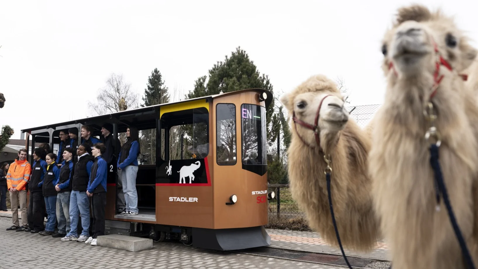 E-Tram, Knie-Kinderzoo